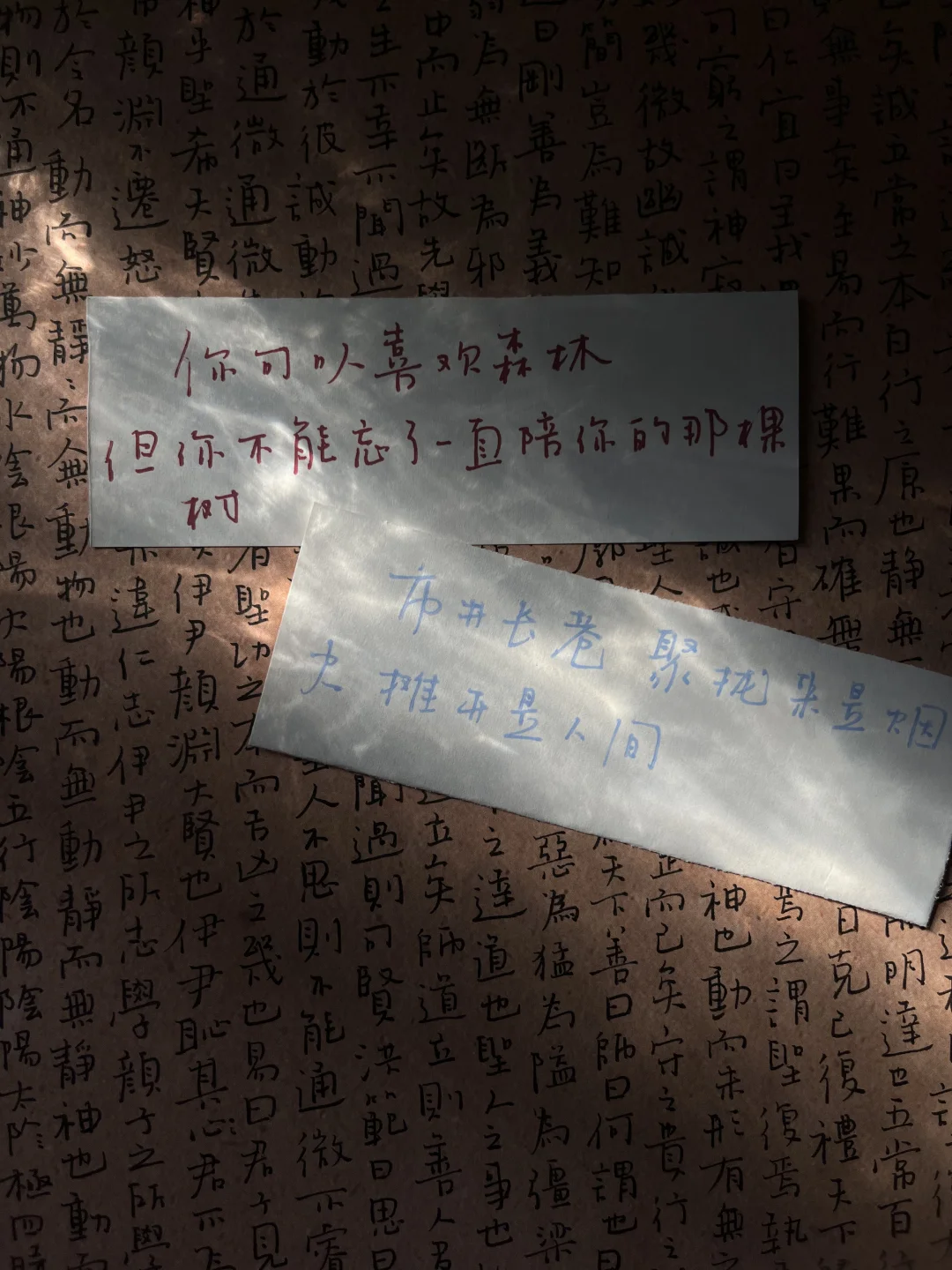 那些藏在句子里的光🌞