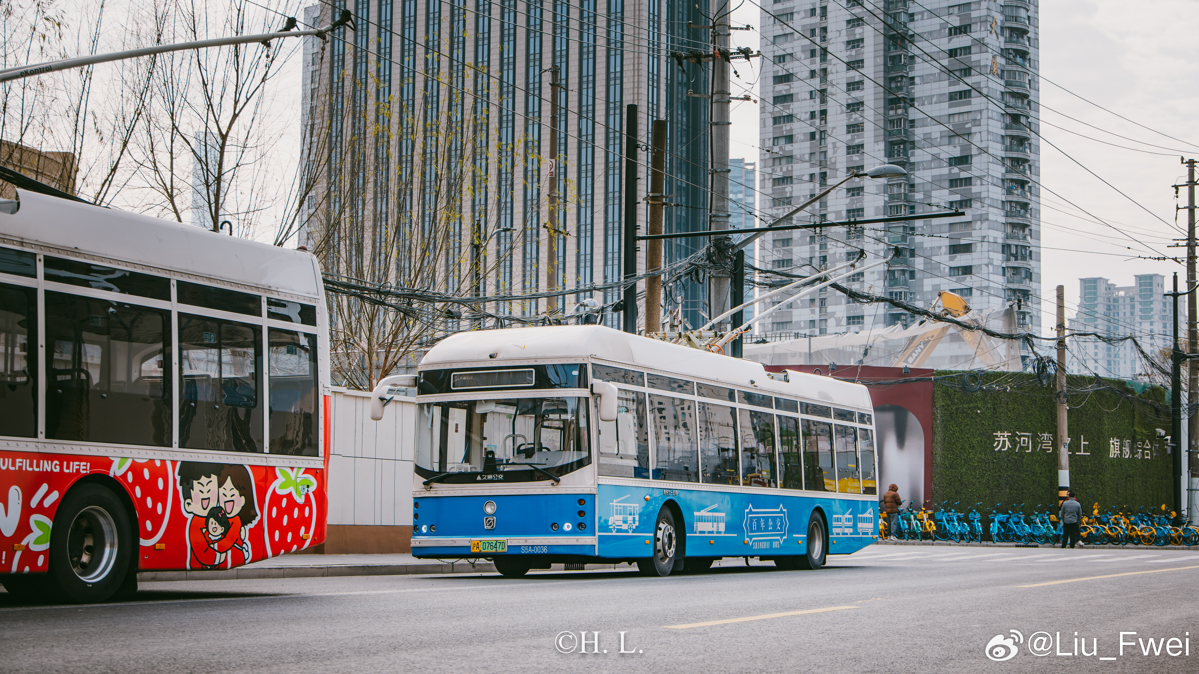 中国车迷协会负责人、世界无轨电车考察协会秘书长、无轨电车线位分析学院首席院士、博