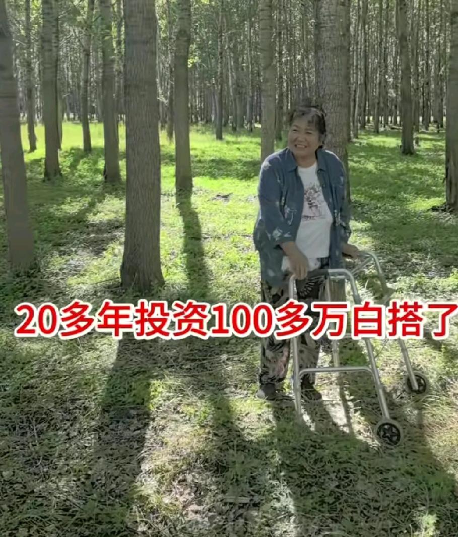 一棵杨树能卖好几百，300亩23龄的杨树得值多少钱啊！
不出意外齐齐哈尔的王大姐