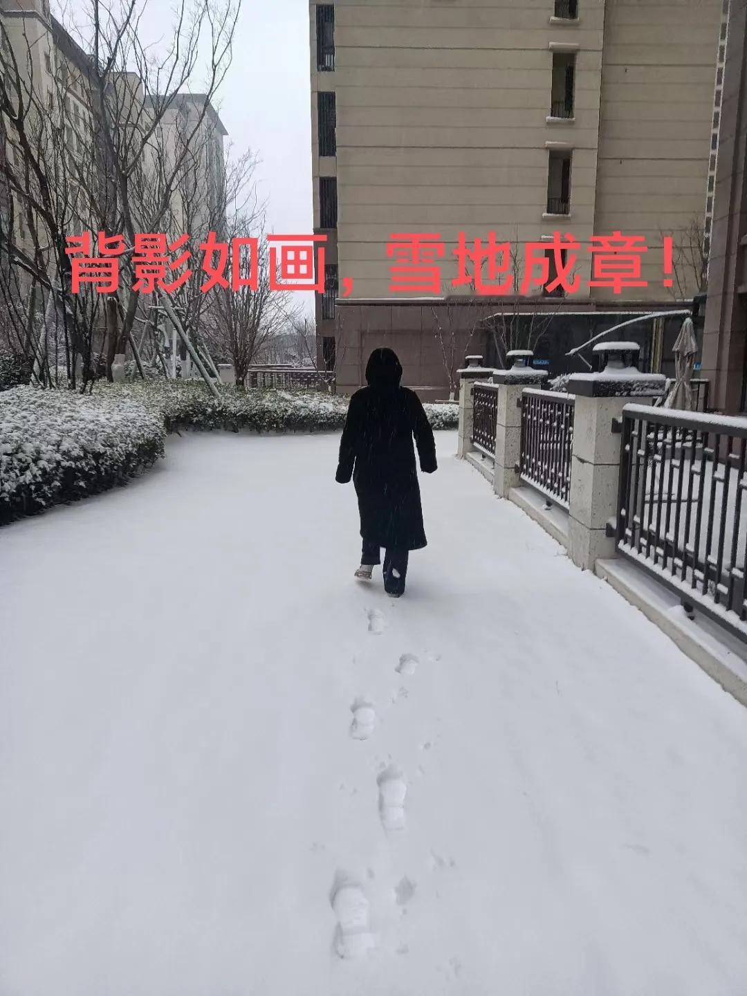 背影如画，雪地成章！
    昨天，河南豫东的一场中雪，来的太及时了！
   真