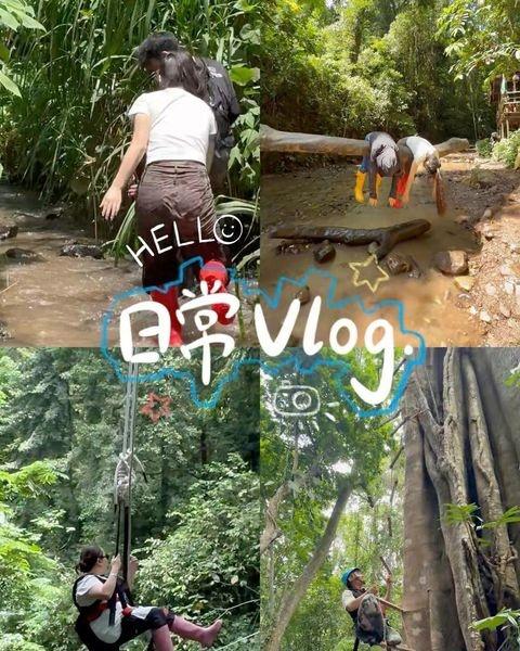 西双版纳⛰基诺山雨林徒步超详细攻略～❗
📍西双版纳 西双版纳基诺山雨林徒步
与