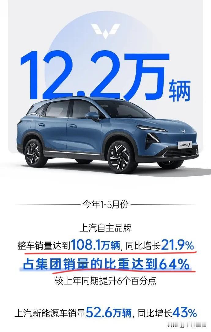 上汽：“自主品牌占比64%，我这不就好起来了嘛！”
来自上汽集团5月官方销售数据