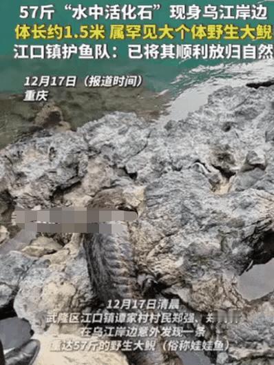 幸亏发现及时！
 
重庆一村民干活时，突然发现石头缝有动静，他起初以为是“辣条”