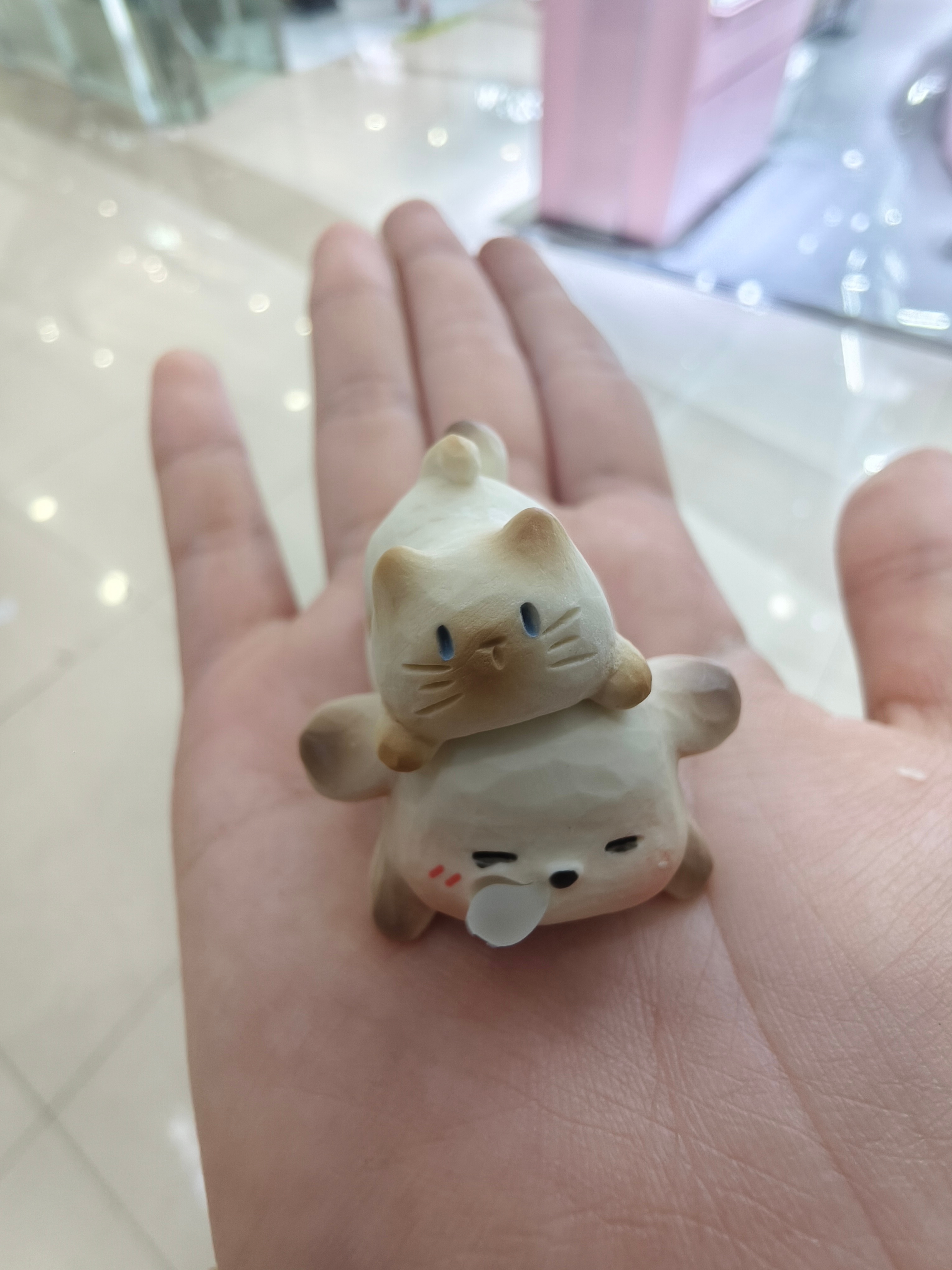 可爱