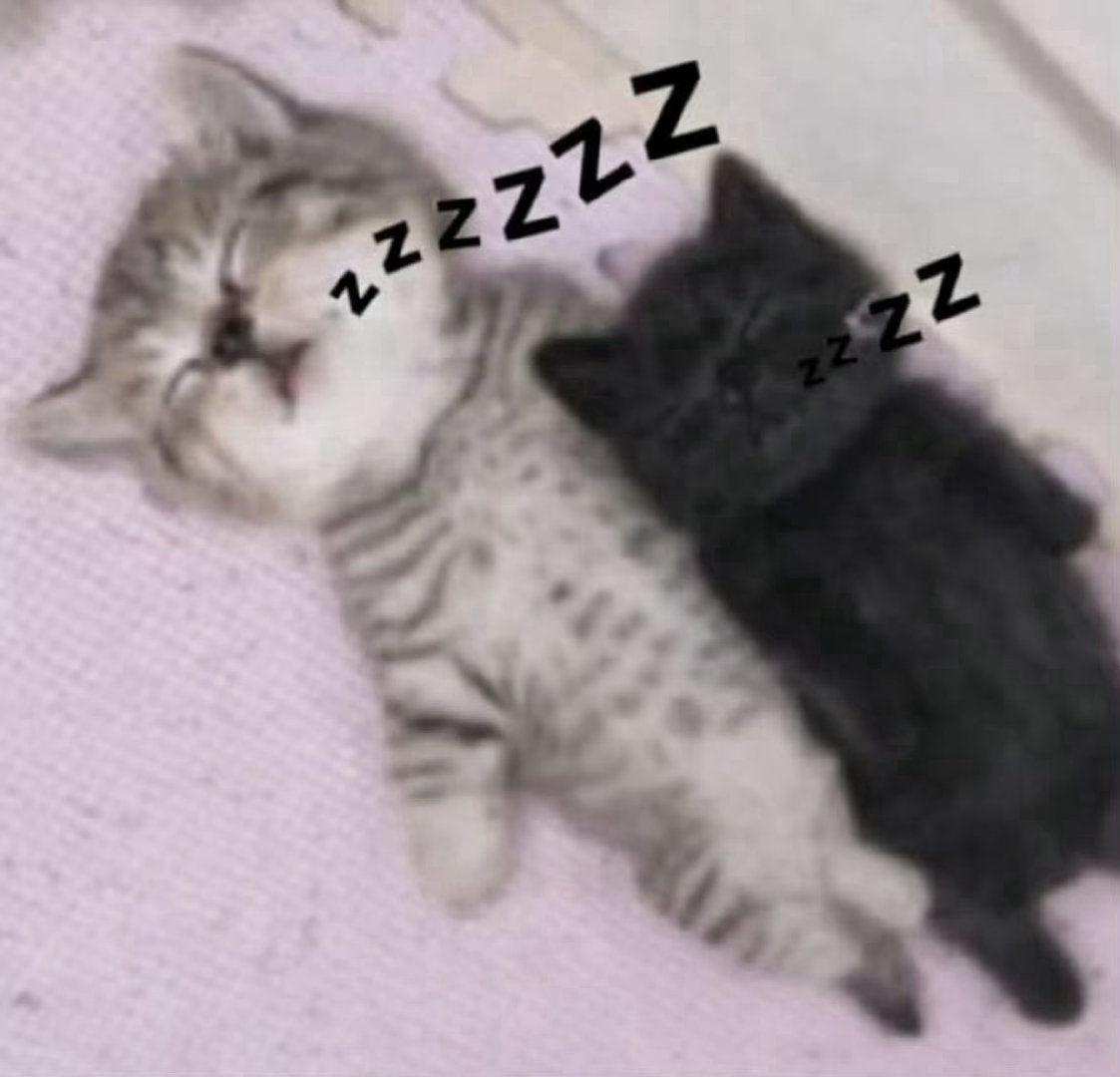晚安💤 