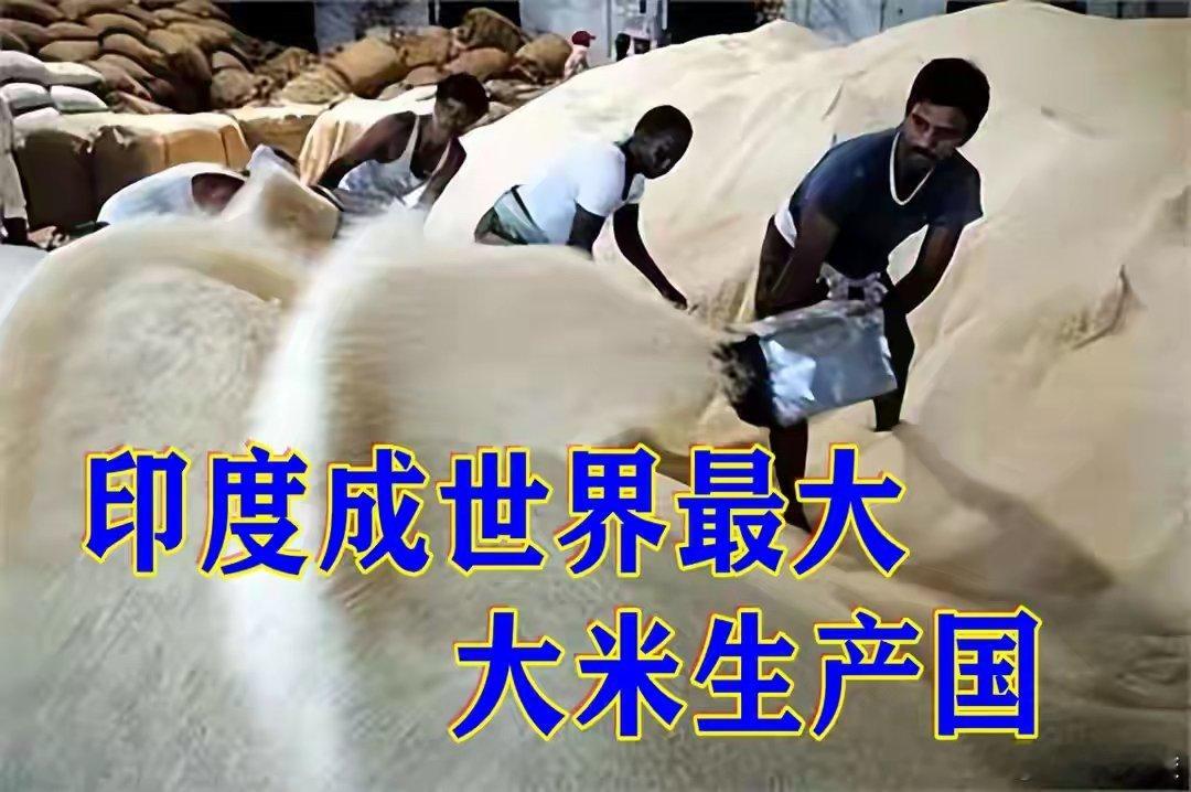 印度高调宣布大米产量超越中国 印度首超中国成最大大米生产国，看着挺唬人。但细究就