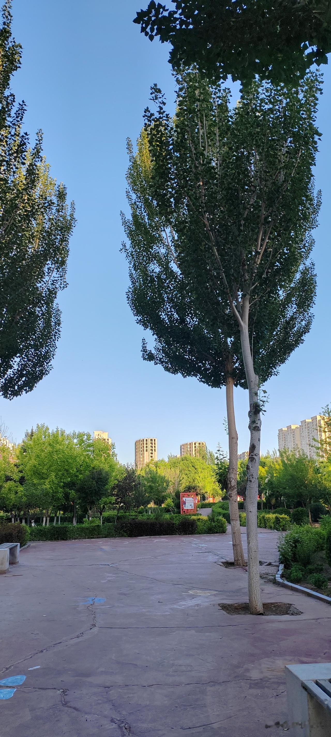 网友们对这三个人不陌生吧！
南昌老王，（老头）
东方老戴，（老头）
喜结善缘，（