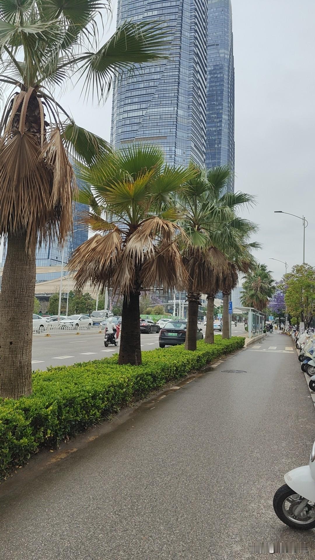 晒图笔记大赛出门游玩