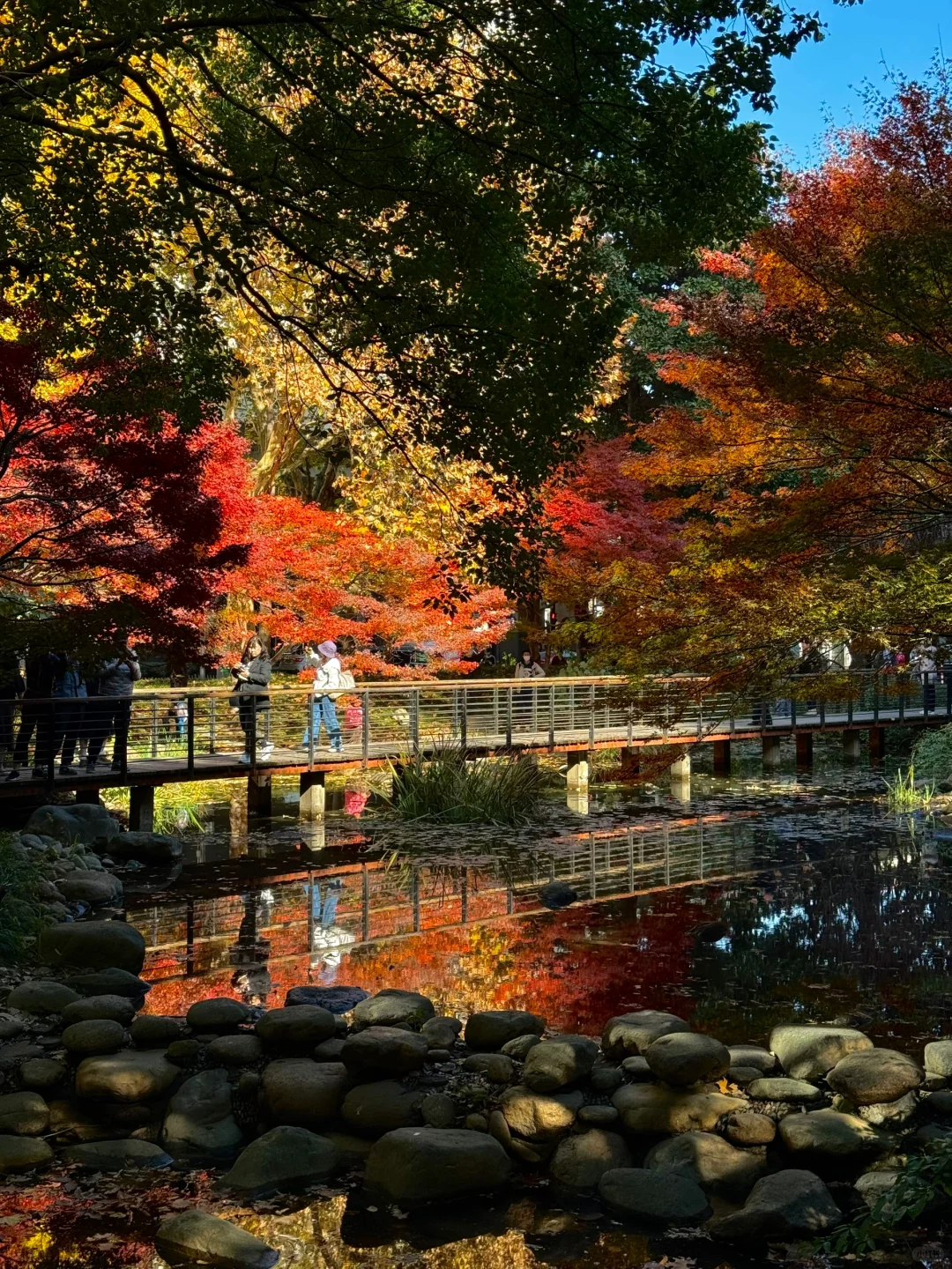 不在京都！！！在上海……