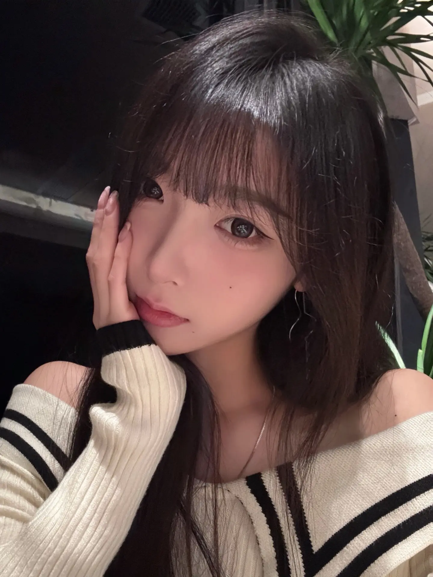 会就是会 不会就是不会 约会是什么意思