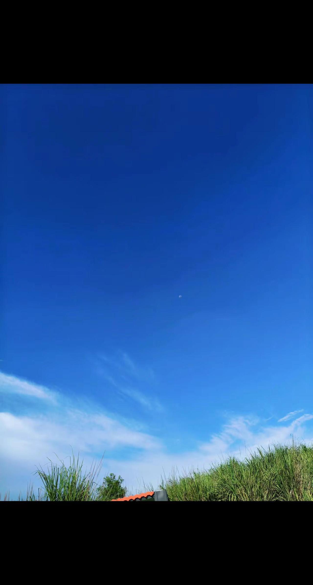 总以为时间过得很慢 可后天就是立秋了