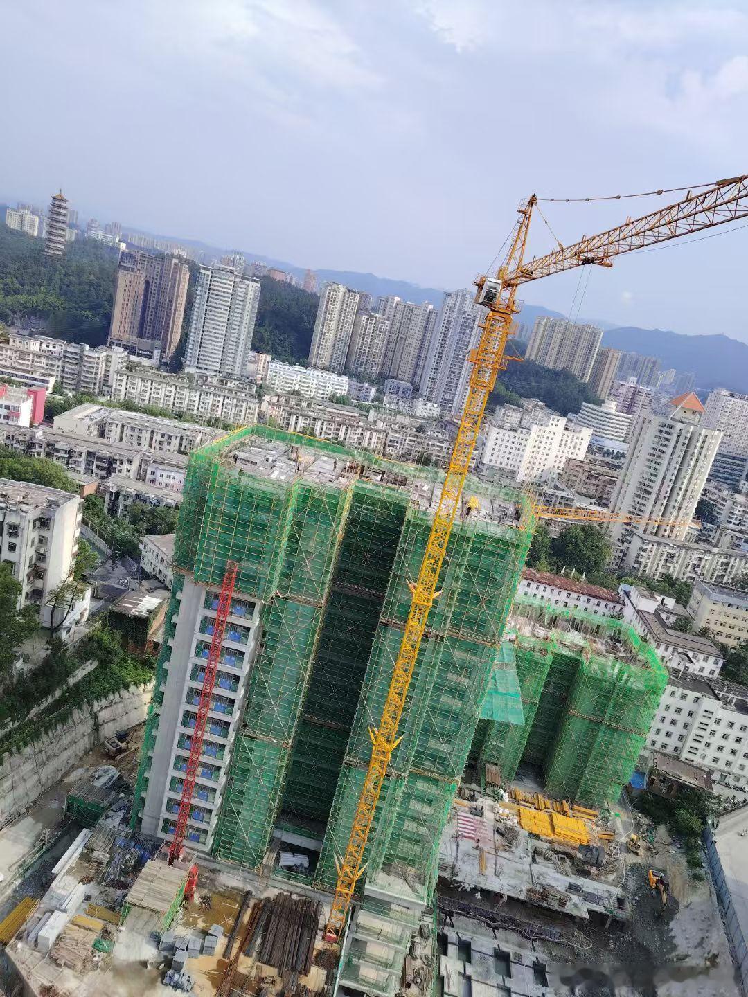 我家楼前挖大坑，一层一层往上攻，直到长得快平齐，挡住视线不是空。第一张2025年