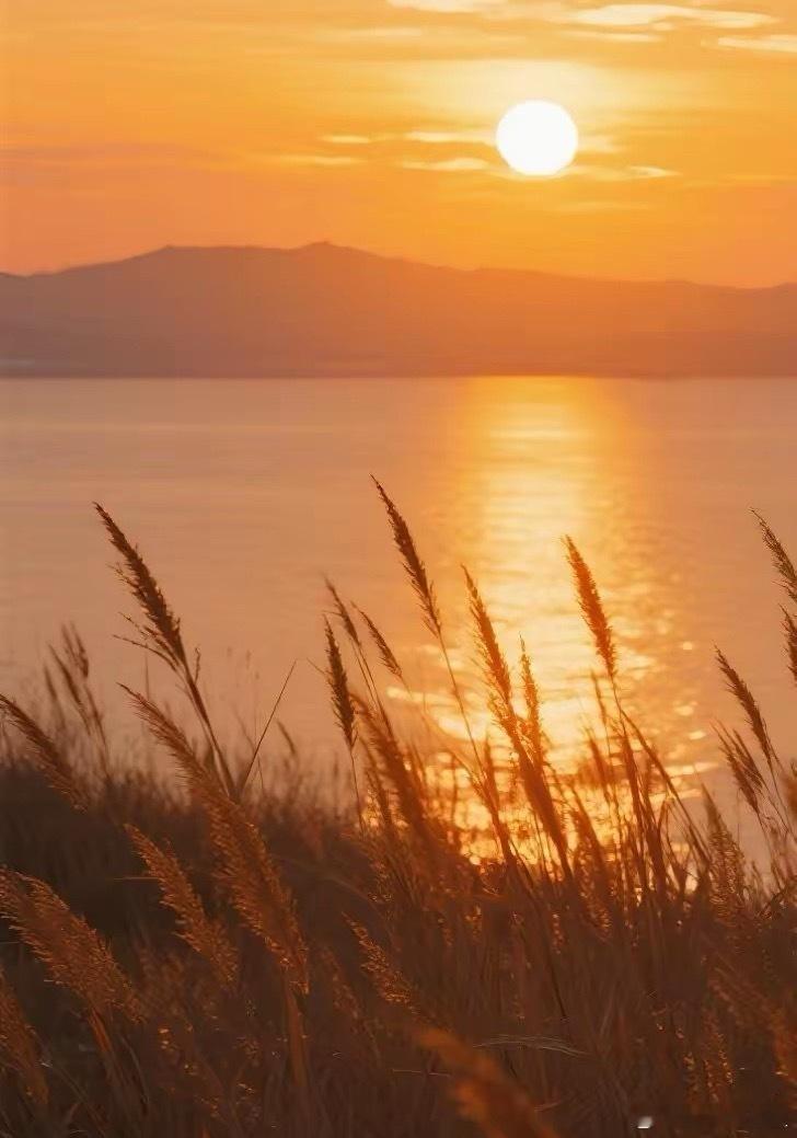 卡夫卡说的这么一段话真现实：“无论规则多么离奇、荒谬、不合逻辑，大多数人都会毫不