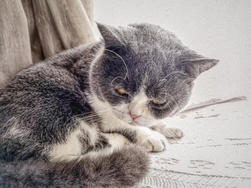 原来人都是这样，事情没发生在自己身上，永远体会不到那份憋屈。