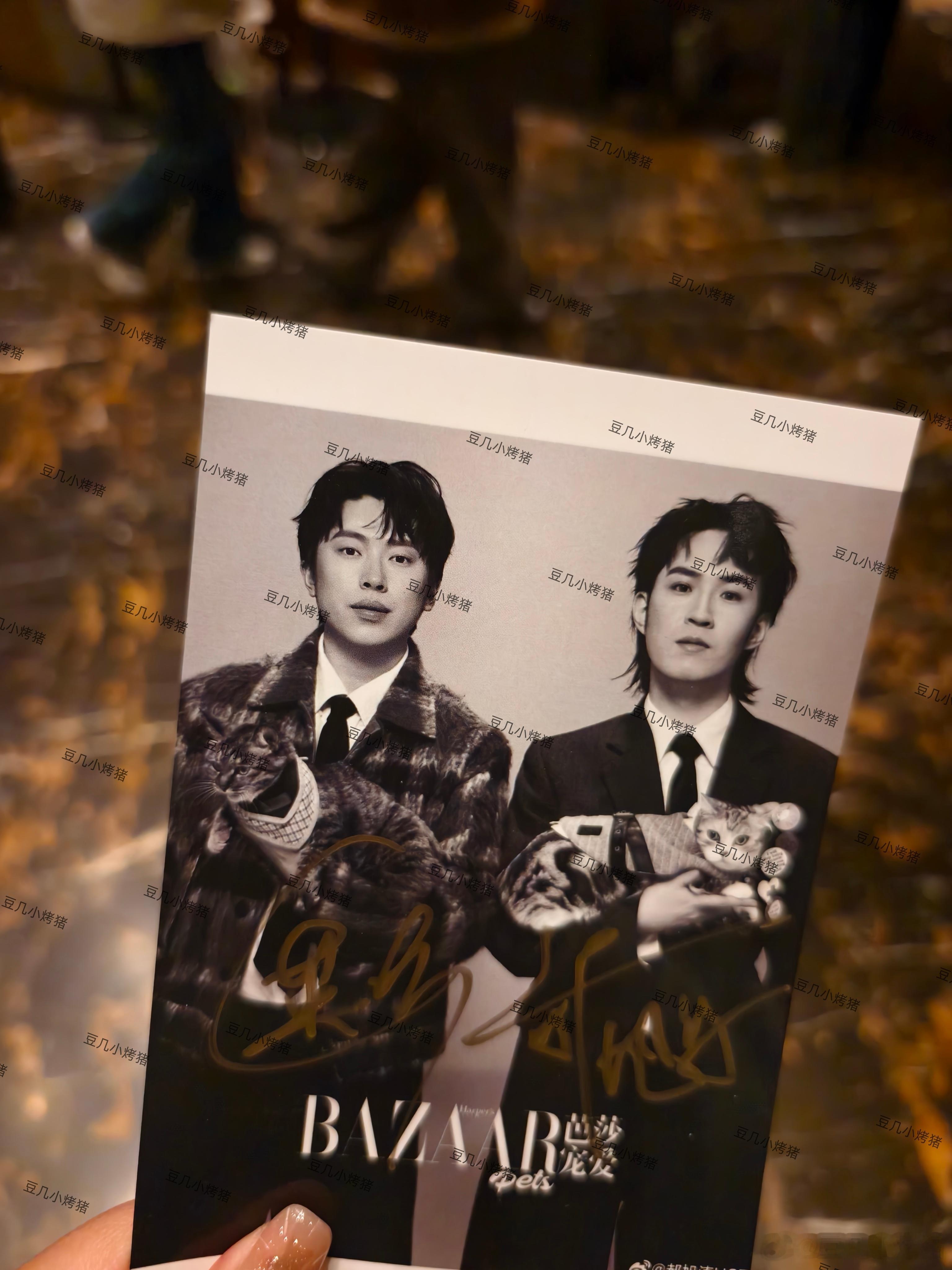 这是什么啊？谁在照片上画画？啊？ 