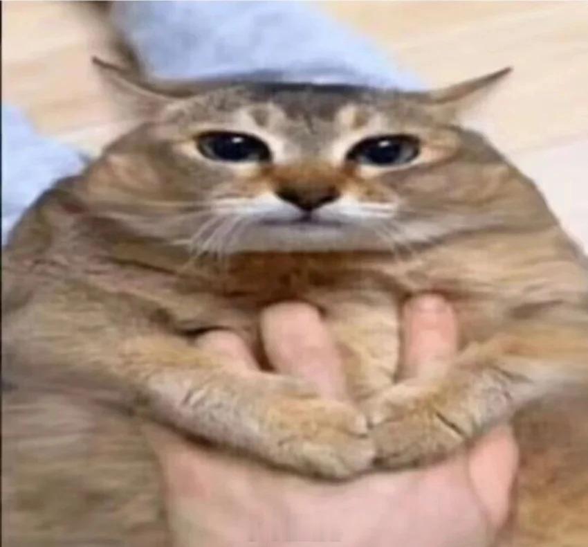 第一次尝试烧猪肘 酱油换了东古一品鲜味道咸了太多...桉桉说他们那边口味来说刚好