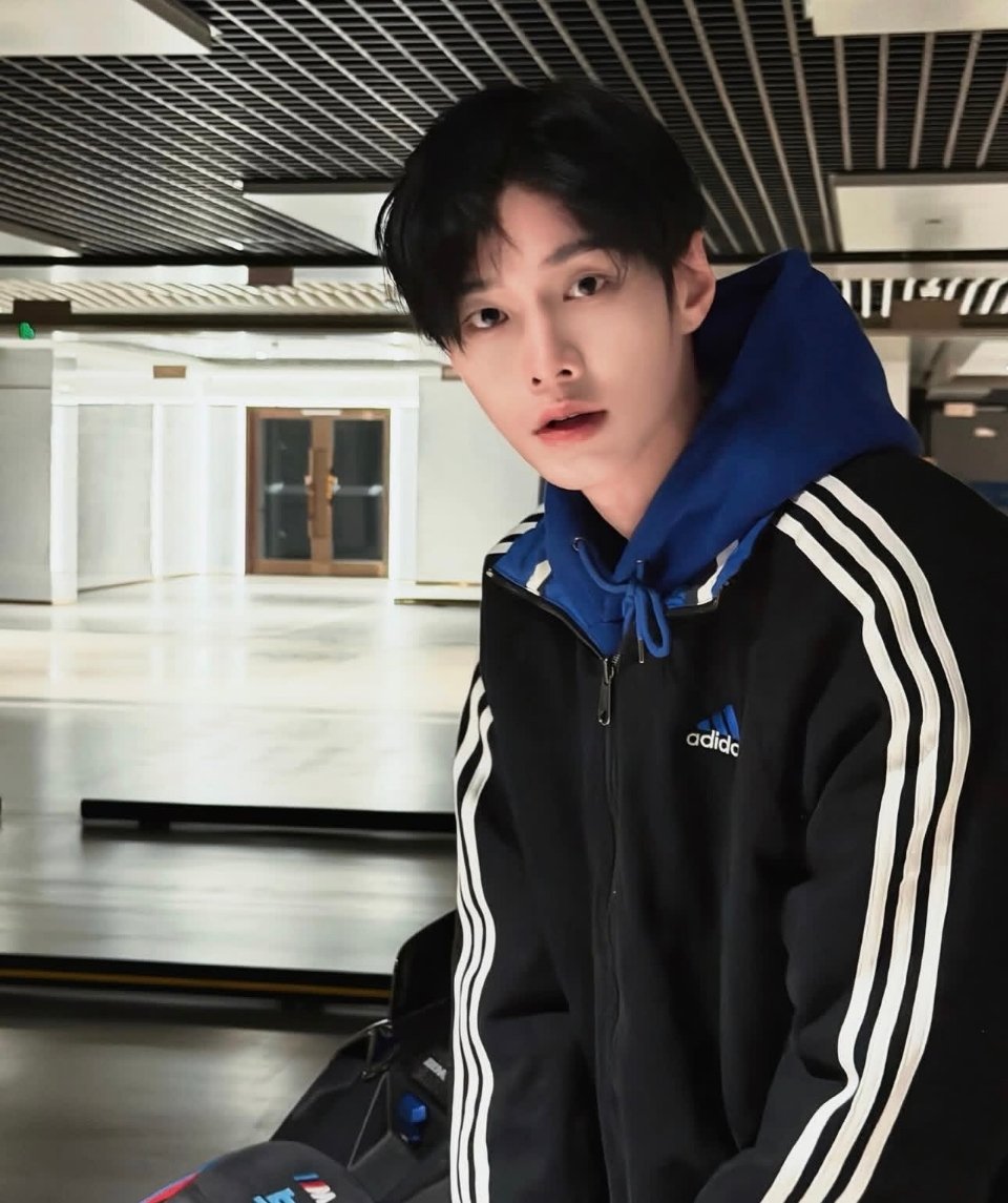 何与 🦈﻿何与百花杀 世人爱情三百曲 不如小巷我和你 .