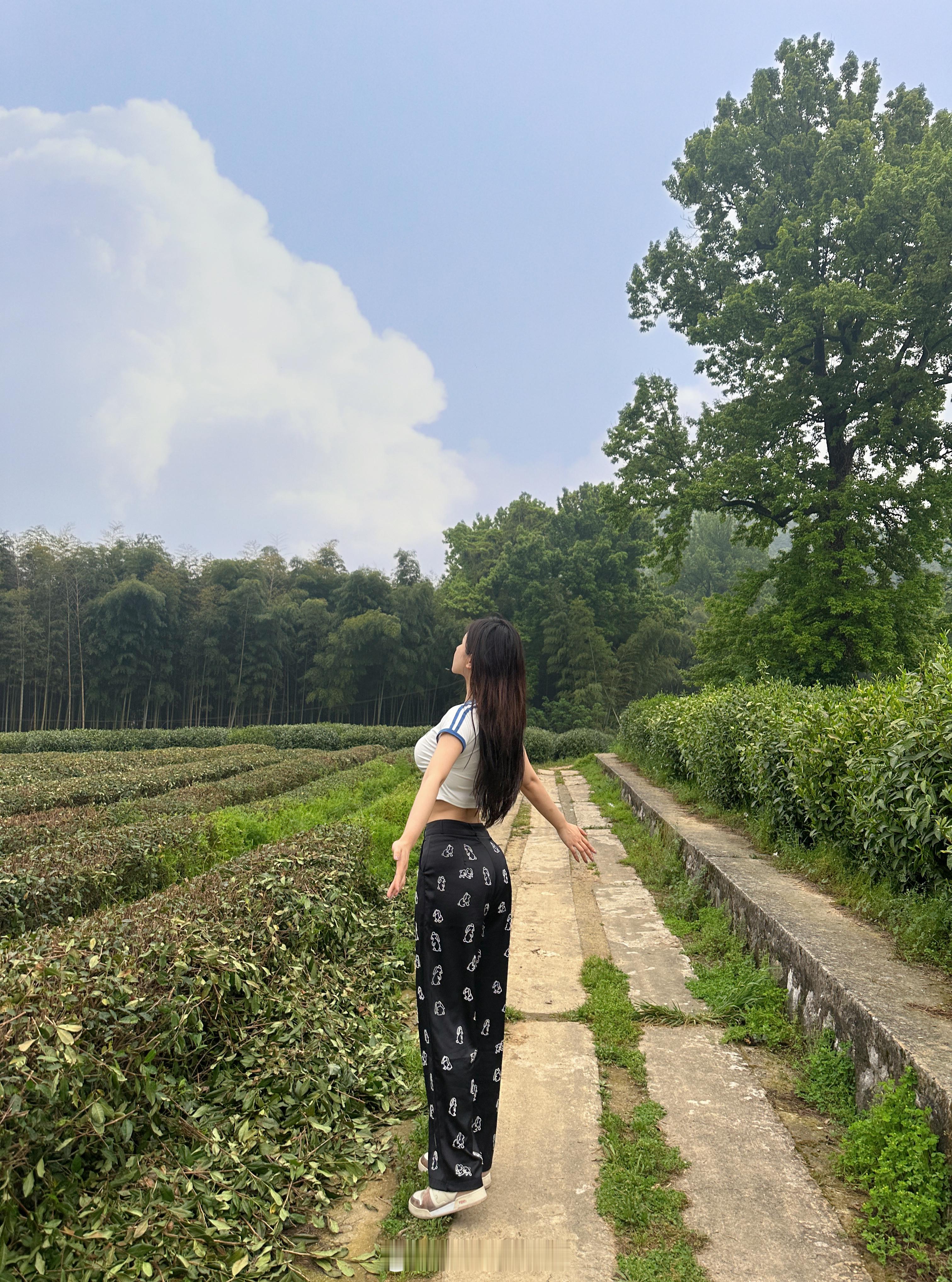 晚安我的小狗狗 ​​​