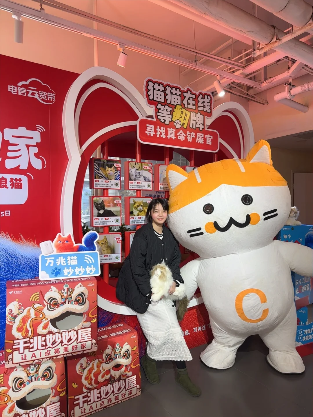 爱心传递 | 免费领取猫窝，为流浪猫救助贡献