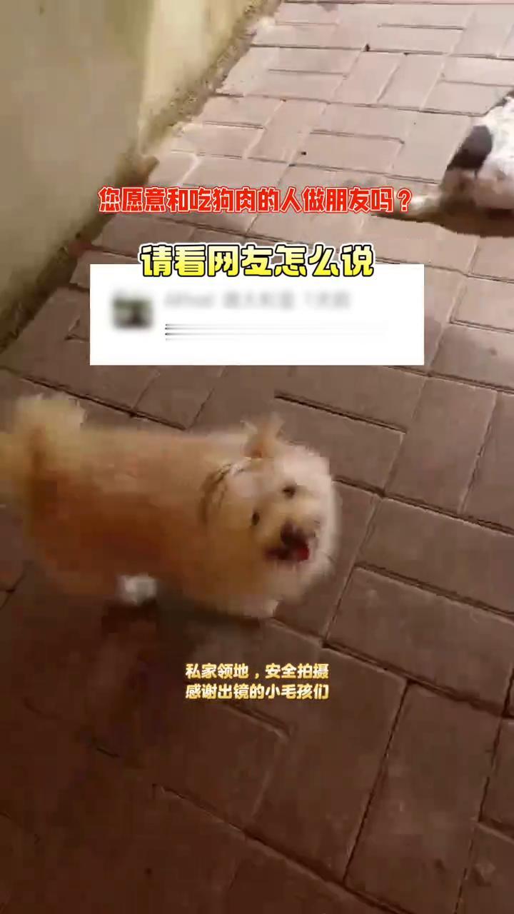 您愿意和吃狗肉的人做朋友吗？请看网友怎么说。
我不和吃狗肉的人做朋友。感谢出镜的