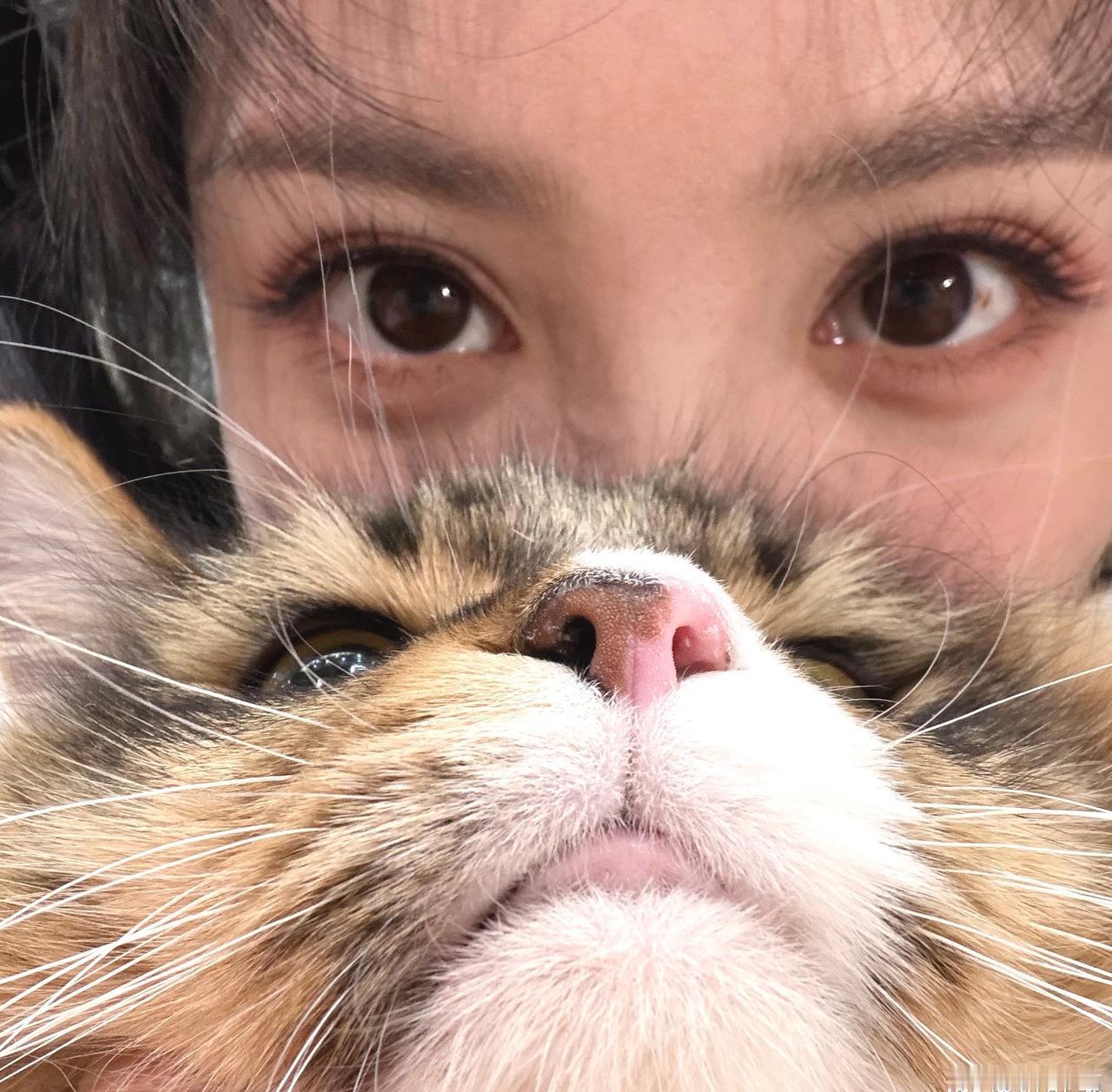 田曦薇超话 txw田曦薇 分不清标题和弹幕谁更好笑 txw田曦薇刘海 

“细微