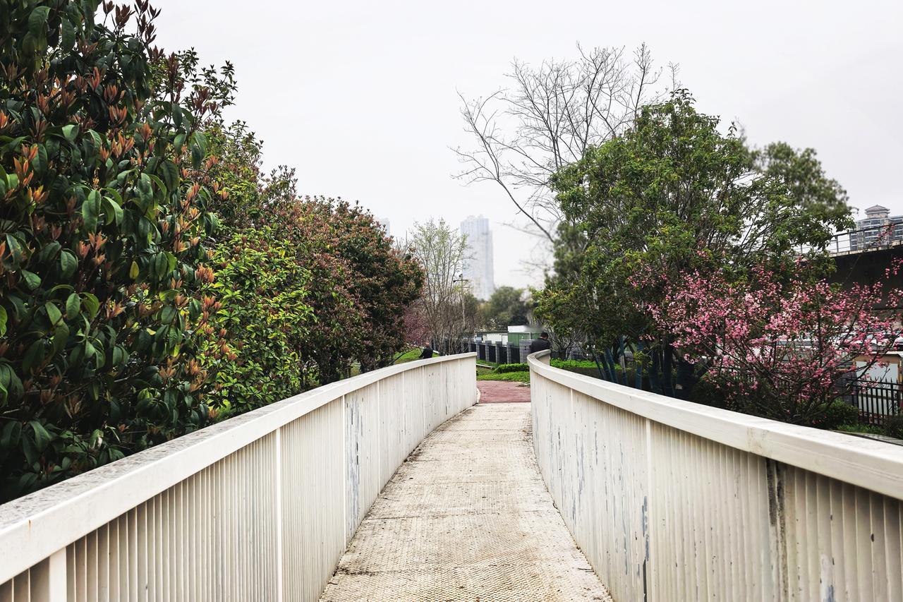 武汉曼立方公园——路边的秘境
在车水马龙的街边藏掩，武汉曼立方公园似颗明珠黯淡里