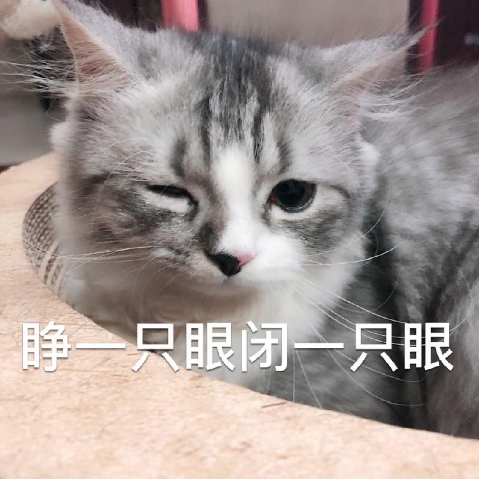 既然开麦，我也不怕多说一句。黑长直是很美，但稍微一点风就容易糊一脸。这次她满足了