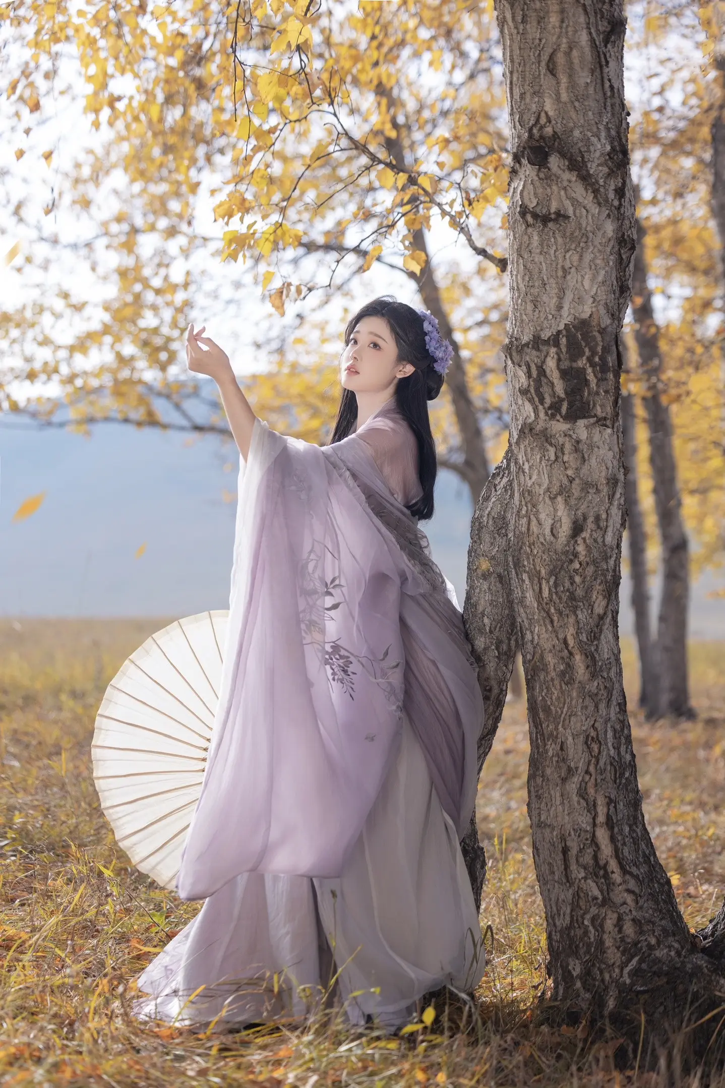 叶落惊秋、人间照晚｜客