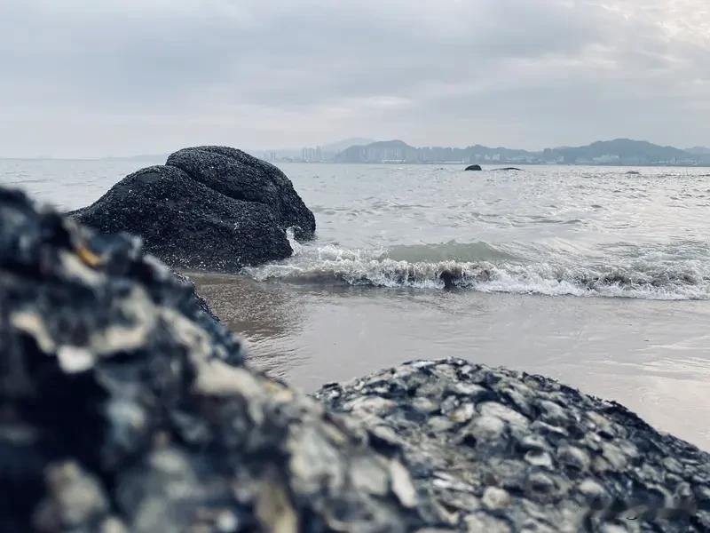 夏日生活打卡季 夏日生活打卡季 夏天啊，那可是一年里最有活力的季节！
海边绝对是