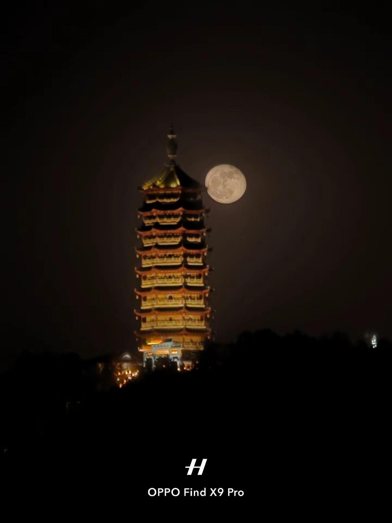 适合这张图的文案拜托网友们啦