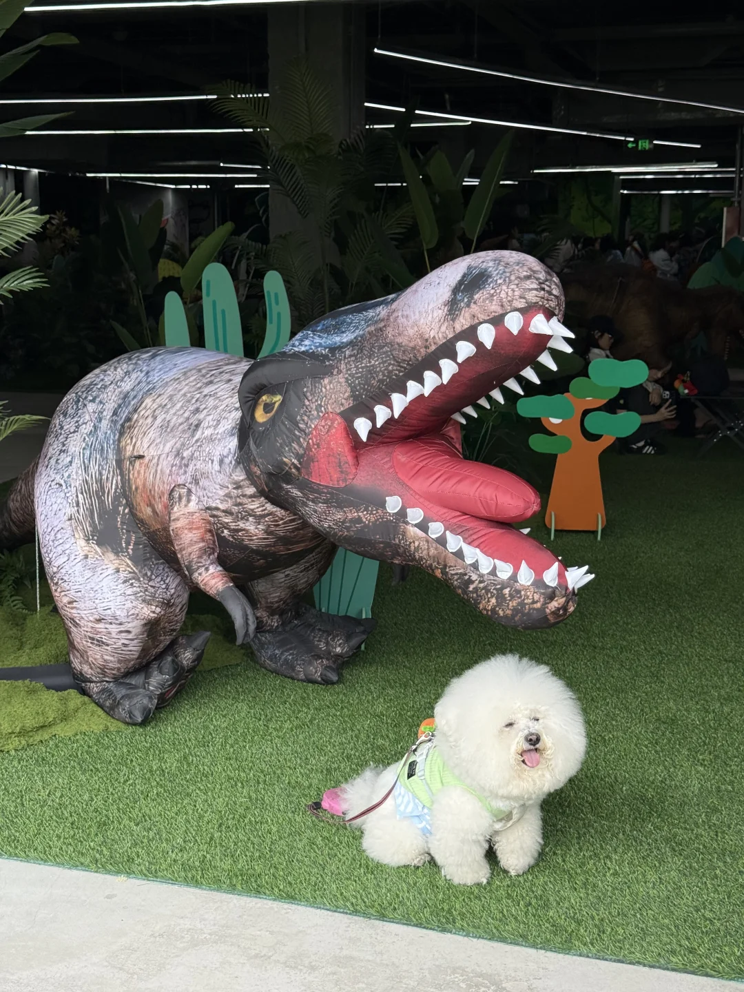 嗷呜 大恐龙😳