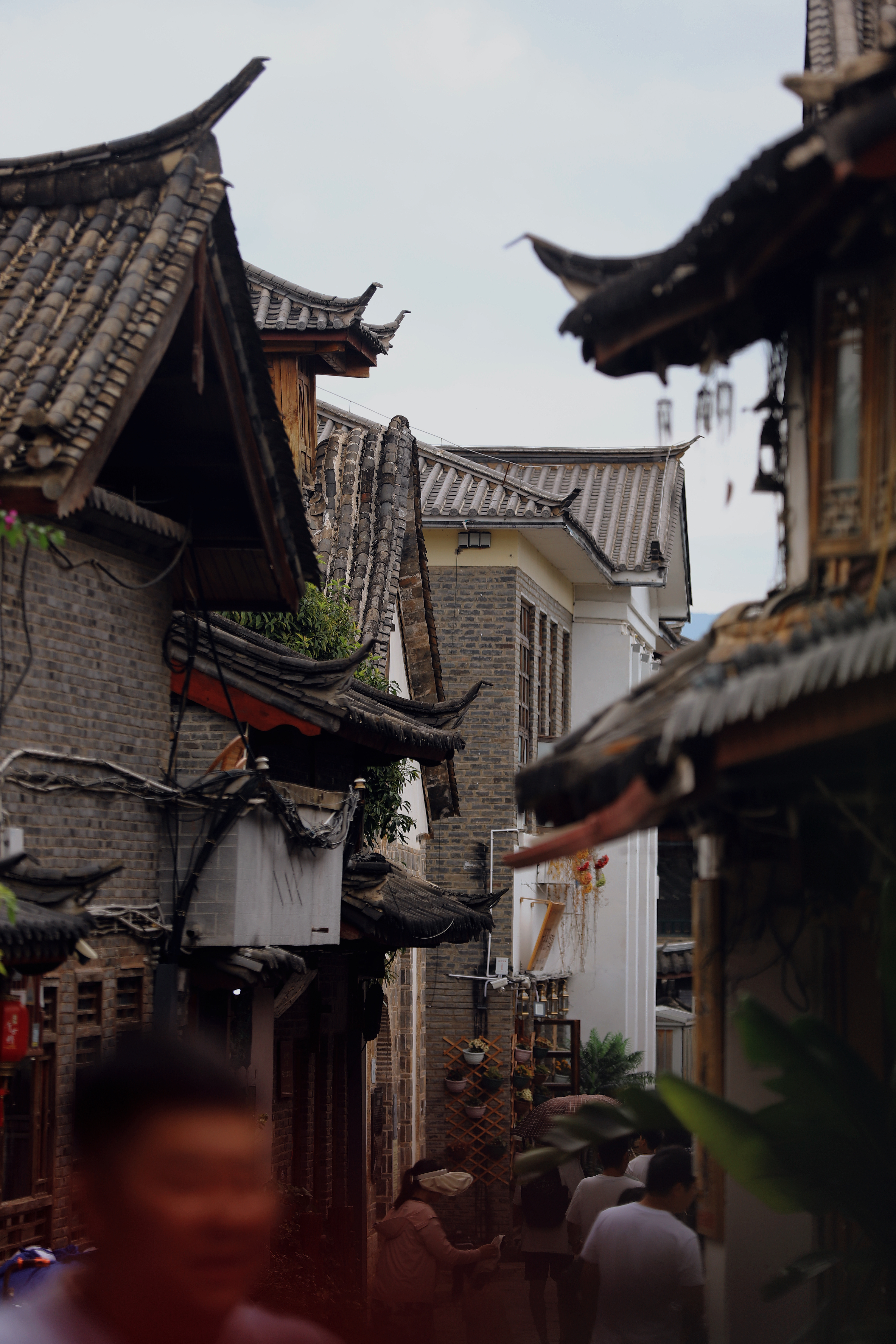 在丽江老老实实做客栈、做实打实的纯玩，反倒很难挣钱。我掏心待客，明着挣钱，不少客
