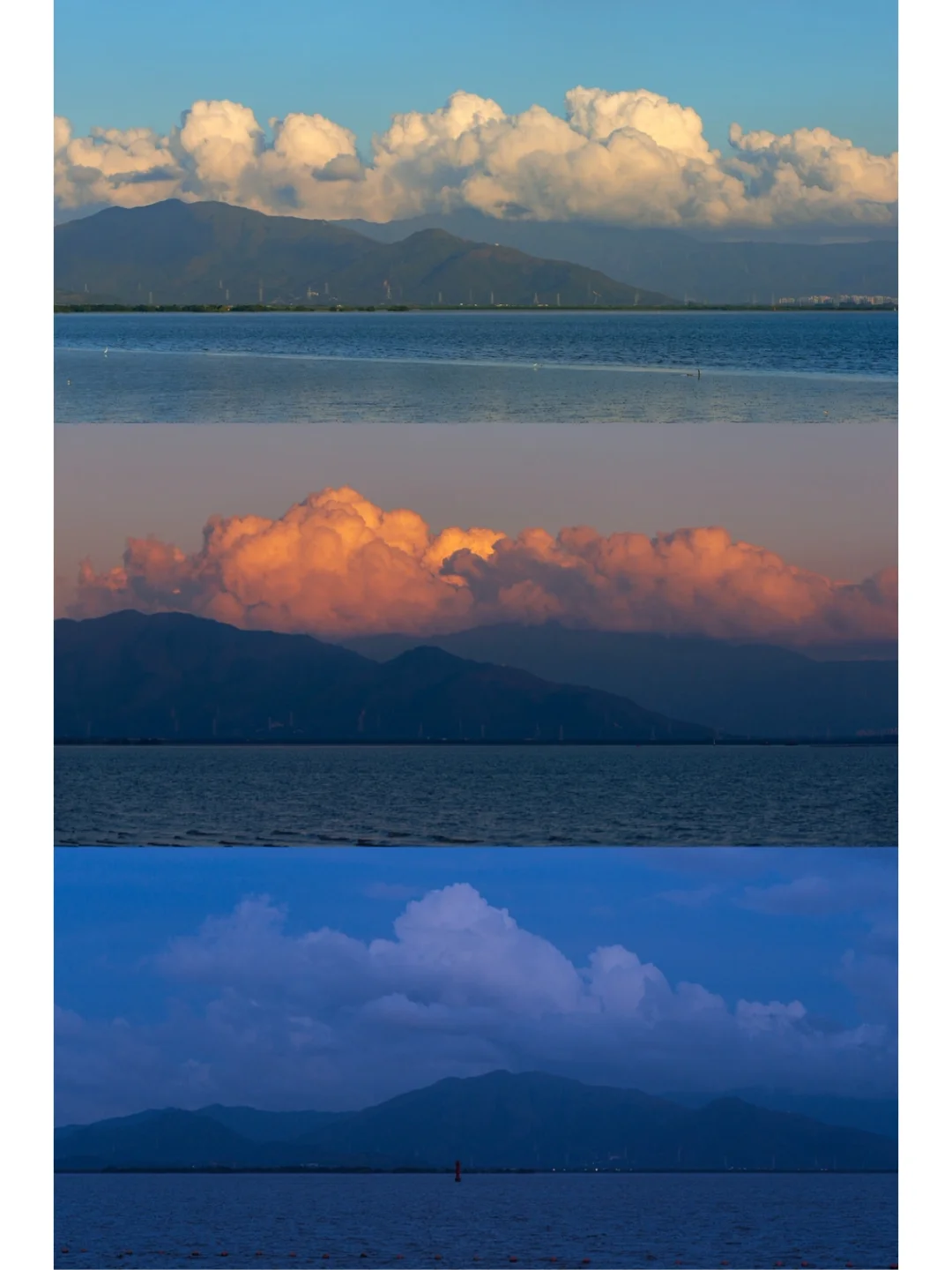 我怎么会浪漫呢？浪漫的是深圳湾的晚风！