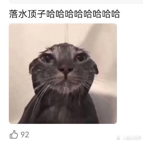 #乘风2024全开麦live直播摇人#萨顶顶老师你休要逃，一定得把你摇上去，我们