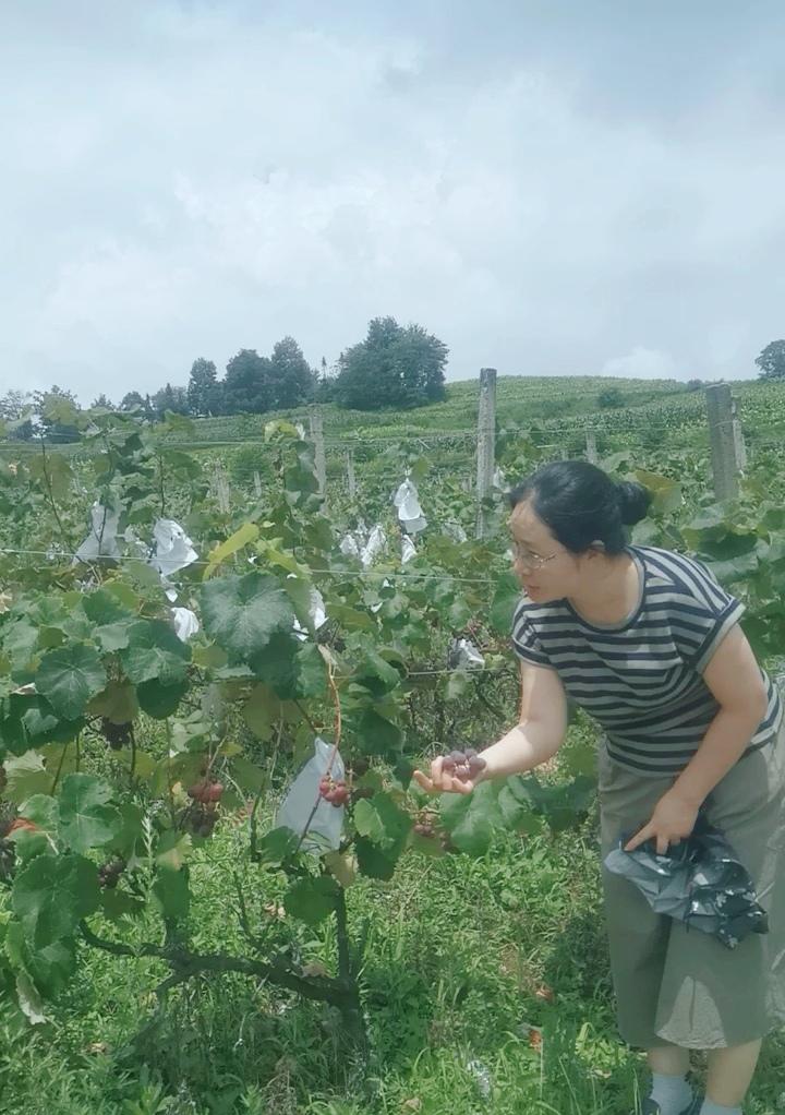 在秋天这个收获的季节里，我们不但享受着丰收的喜悦，而且还品味着劳动带来的踏实和幸