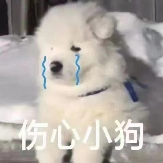 ss掉了，要怎么🐏