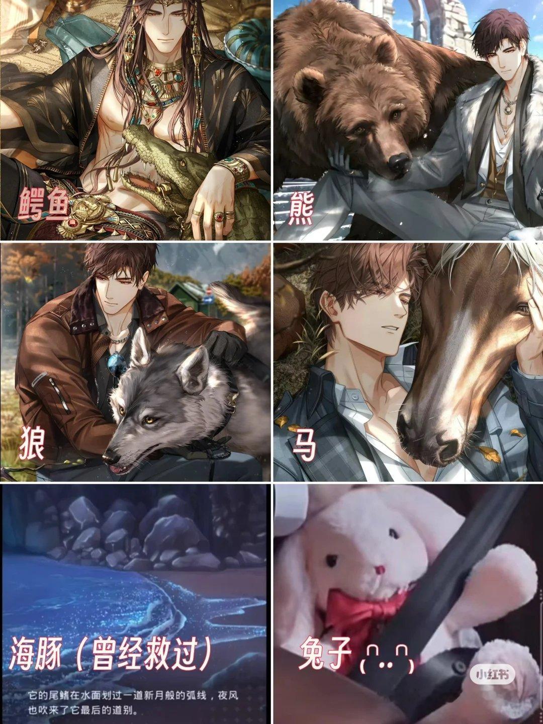 论陆沉与动物的不解之缘 鳄鱼，马，熊，海豚，狼，兔子……陆沉：和动物相处比和人相