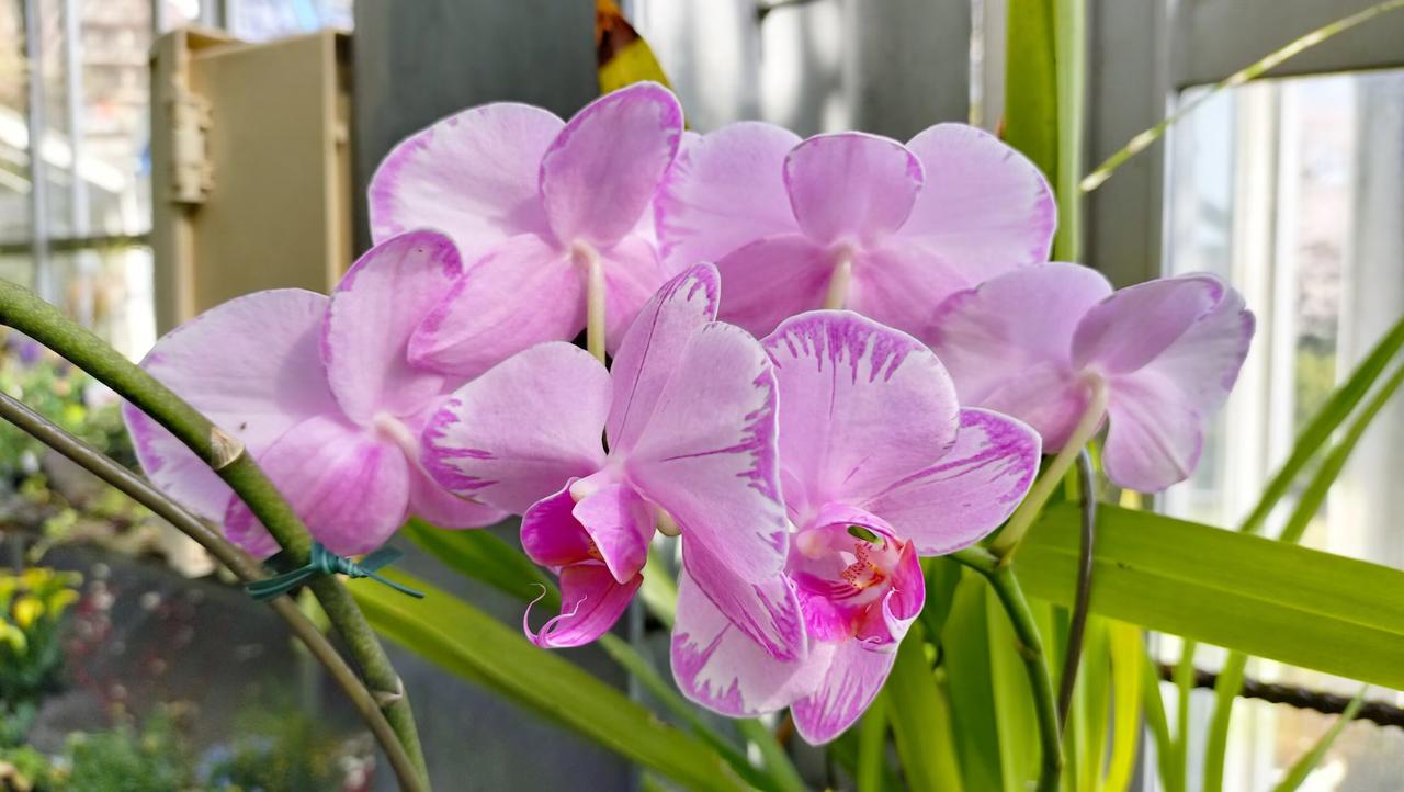 《自渡》
巷口的杂货铺总摆着免费试吃的蜜饯，围拢的老人孩子尝着甜，却鲜少有人留意