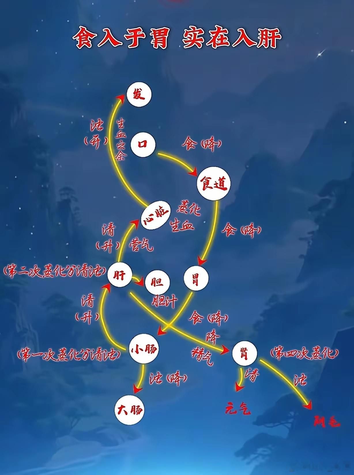 熬夜啃完“中医天书”《四圣心源》，颠覆了我的养生观！深夜合上《四圣心源》，掌心发