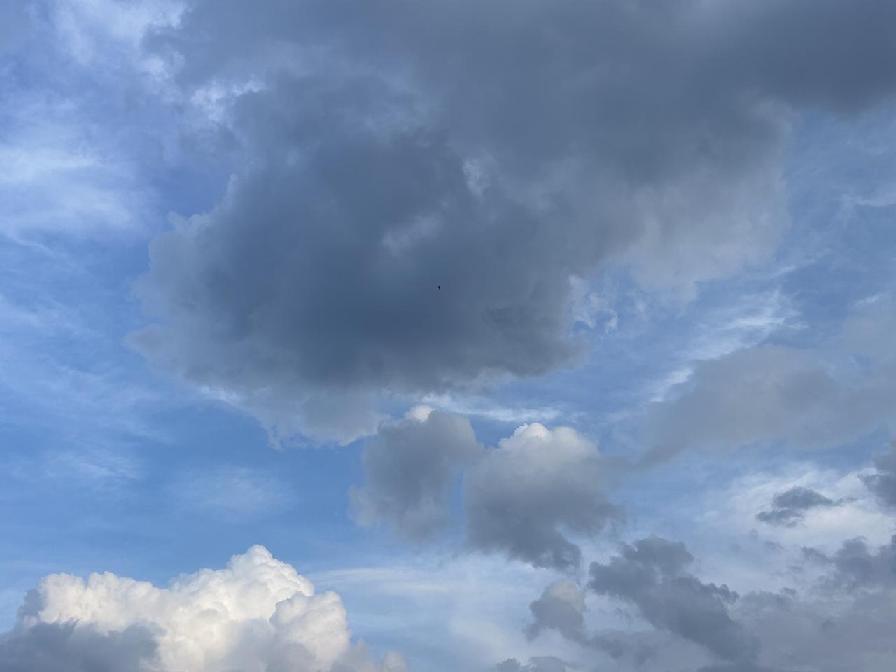 《别在无聊的叹息》

在言语世界里没有真相
在真相世界里没有永恒
在永恒世界里没