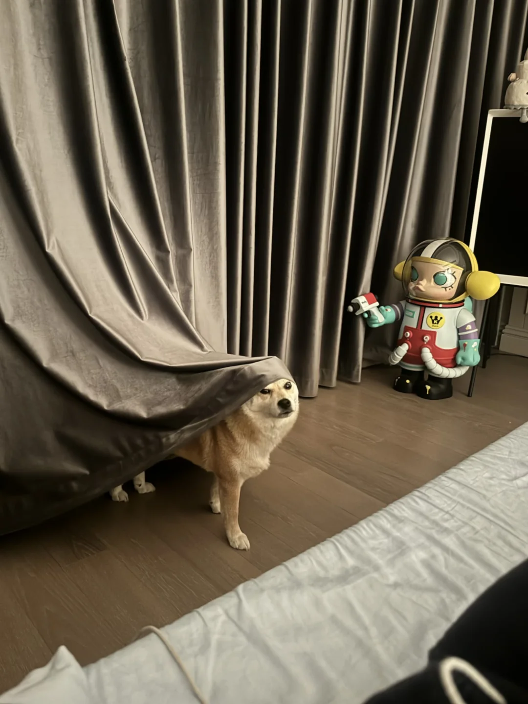 你找我？