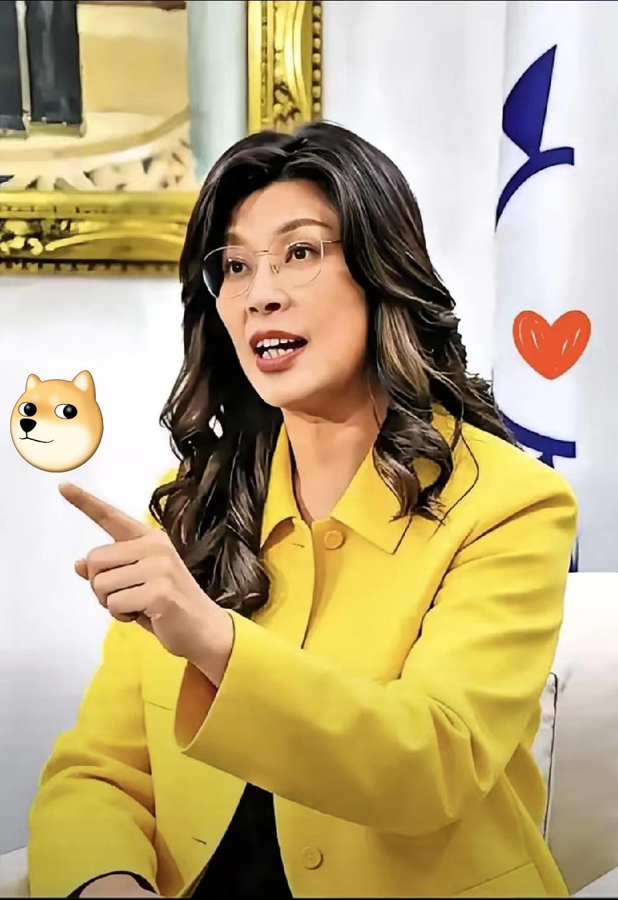 台湾蓝营终于和大陆观点一致，不接一国两制。国民党主席郑丽文近期在专访中的表态引发