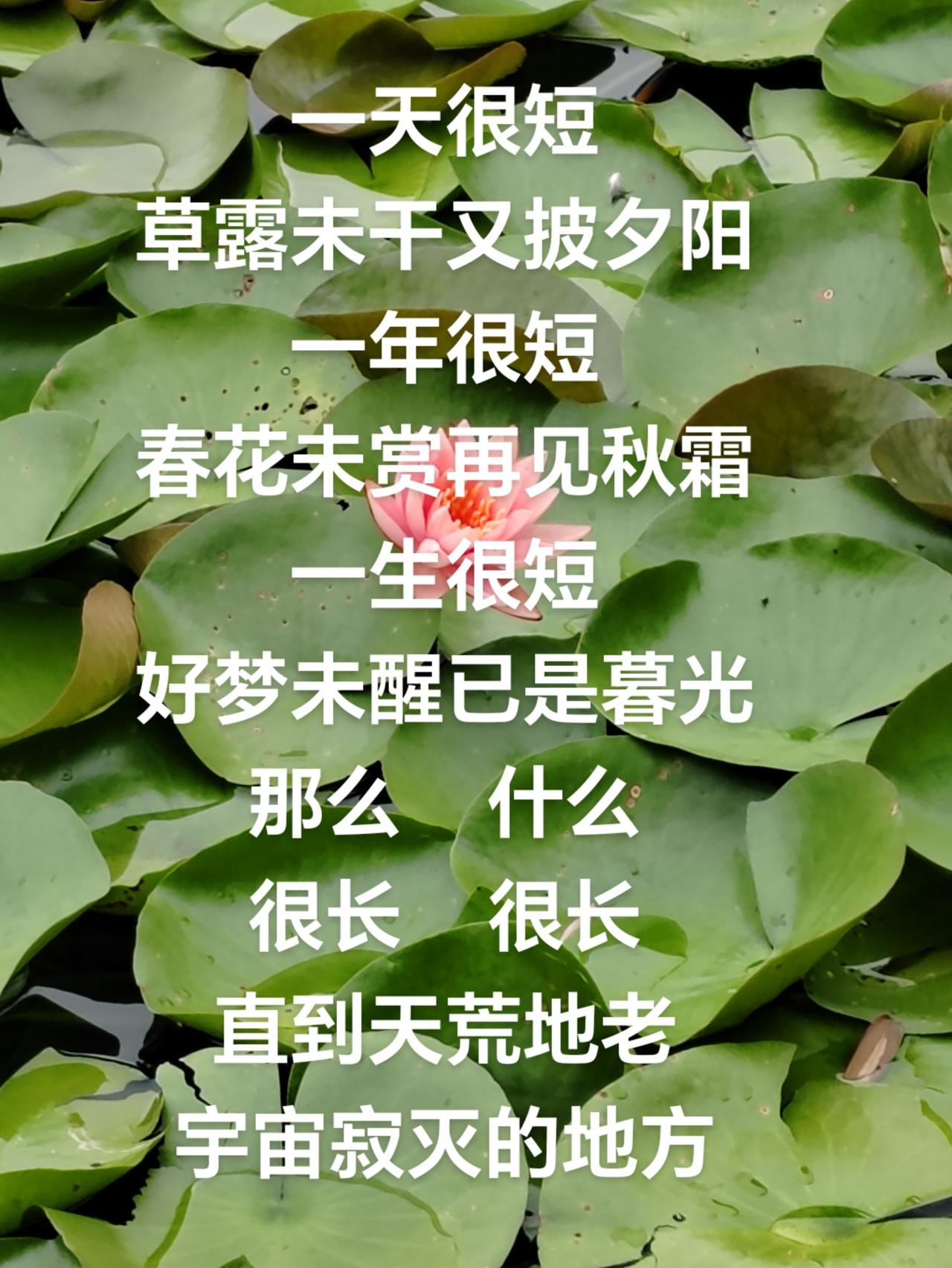 把你想说的答案写评论区，让他（她）看见。