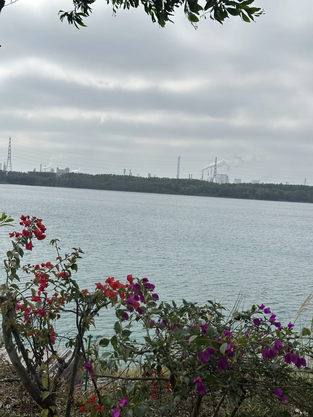 老板通知我，尽快把门卫老王换了，快68岁的人了，晚上还要上夜班，公司风...