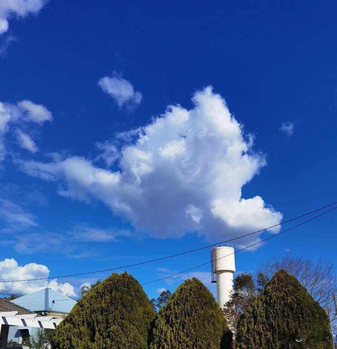 这样的景色，应该就是巧合吧？
天气晴好，天空可真蓝啊！一片白云，正好就飘在了这个