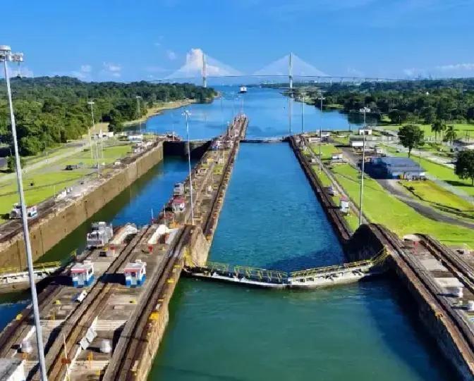 以后没人种地了，只依赖进口可行吗当然不行了，这样在特殊时期容易让人家卡脖子，粮食