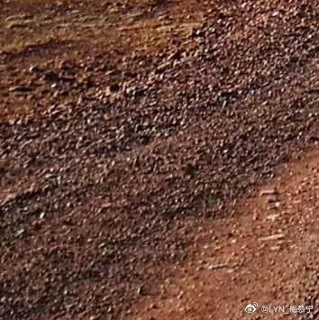 森林驿站 | 阳光信用 每日‎一善 那些走过的路，那些笨拙而缓慢的生长，会让生活