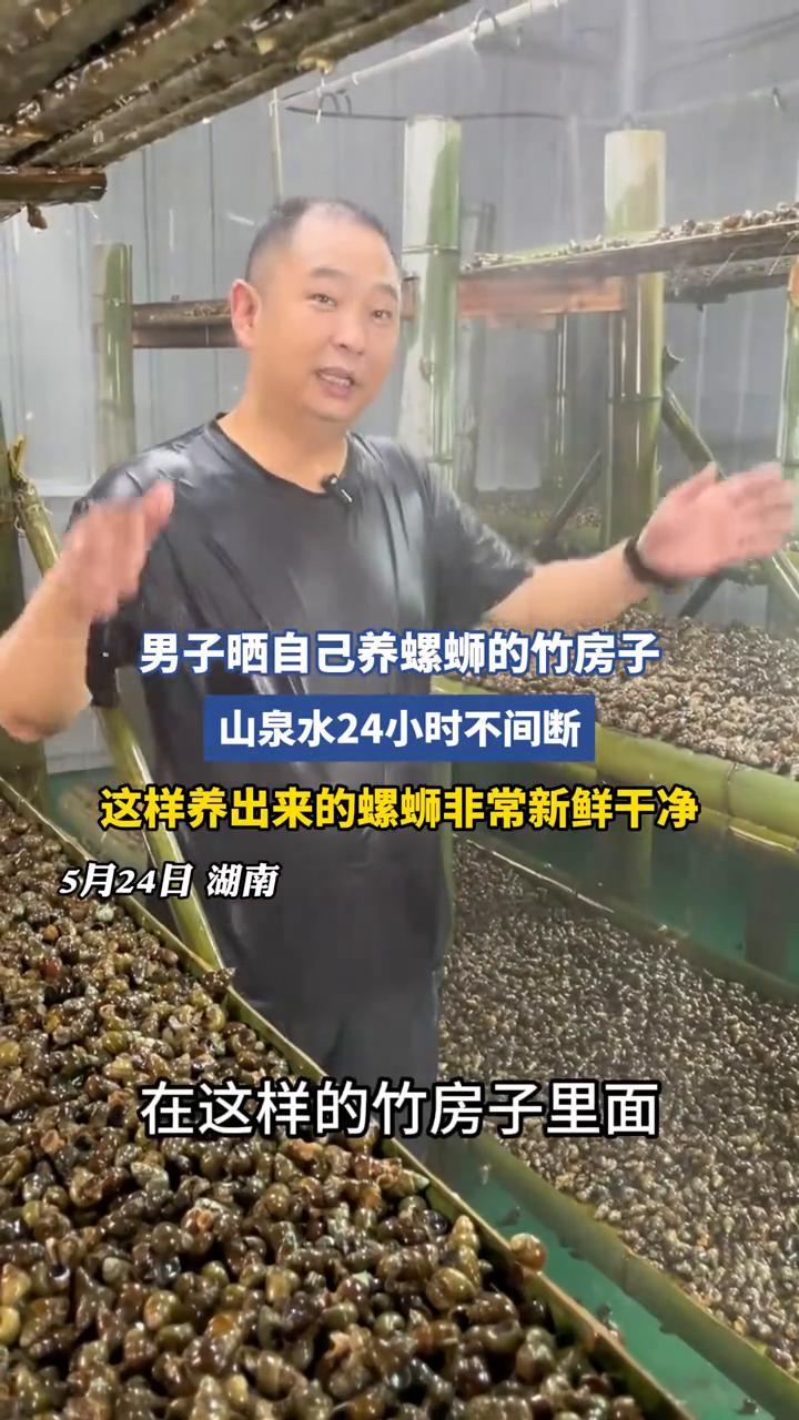 男子晒自己养螺蛳的竹房子，山泉水24小时不间断，这样养出来的螺蛳非常新鲜干净。