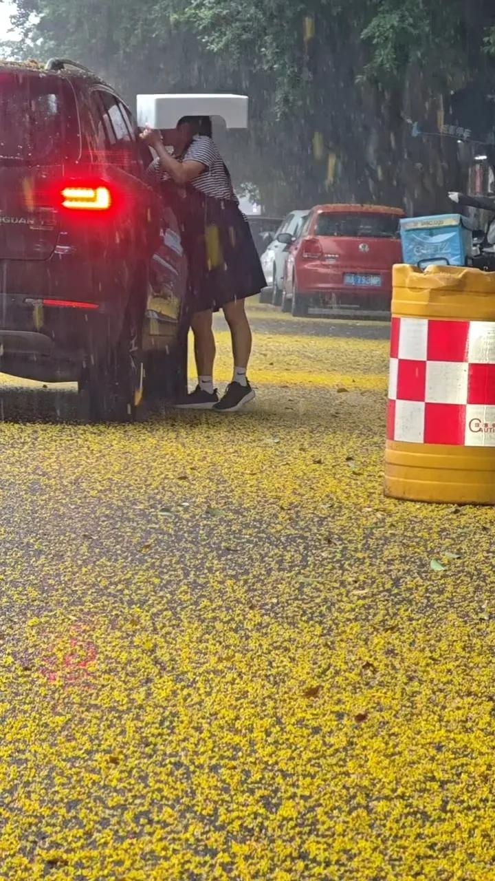 桂花满地便知秋已到七七八八。

成都今天爆金币啦，花瓣雨这一刻有一亿点金含量。很
