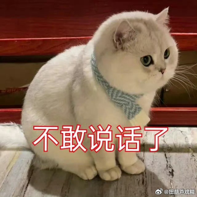 无语了，他最帅是事实 ​​​
